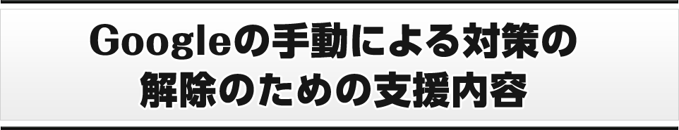 Googleの手動による対策の解除のための支援内容